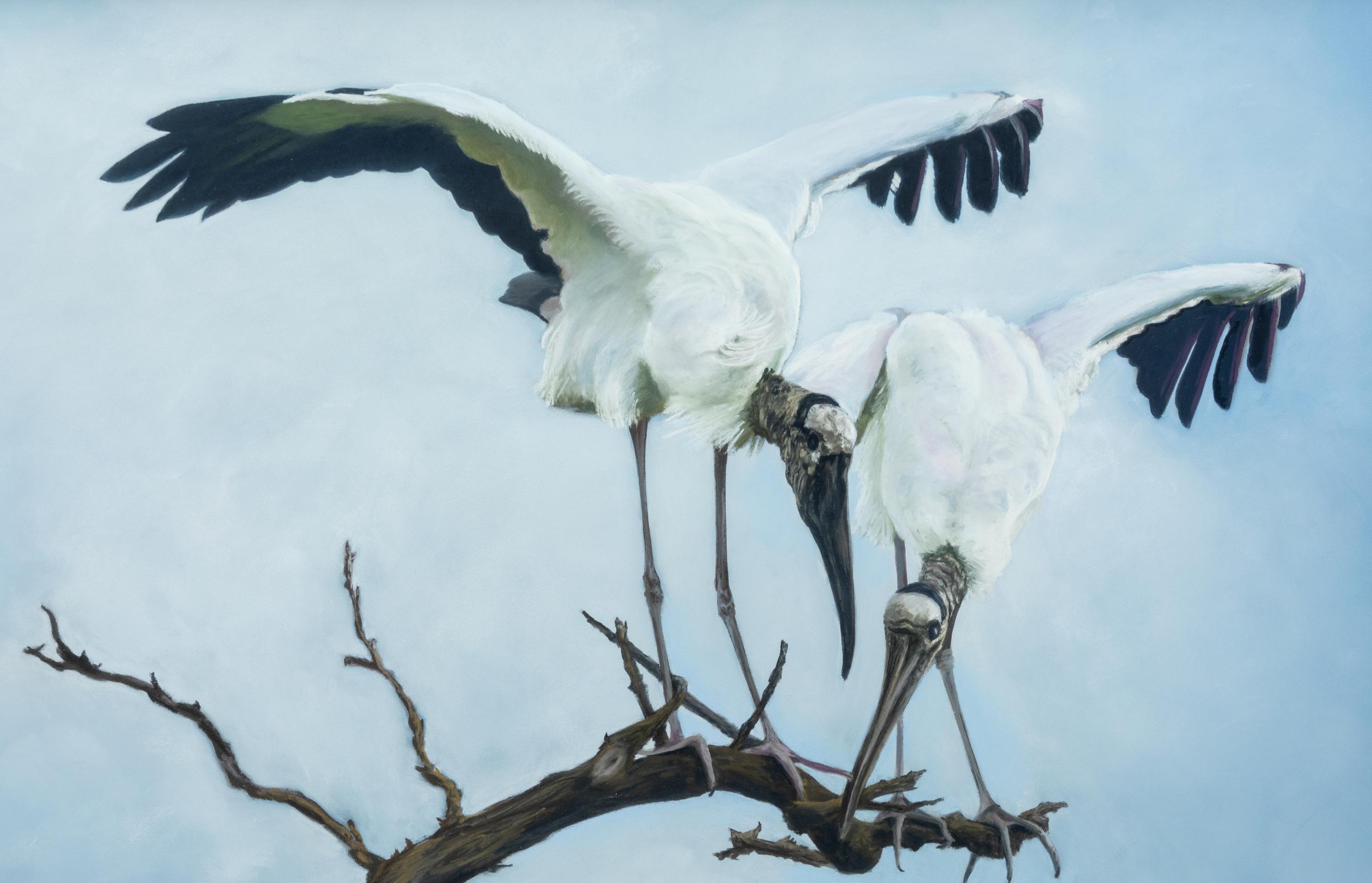 Woodstork Inspection , 2010