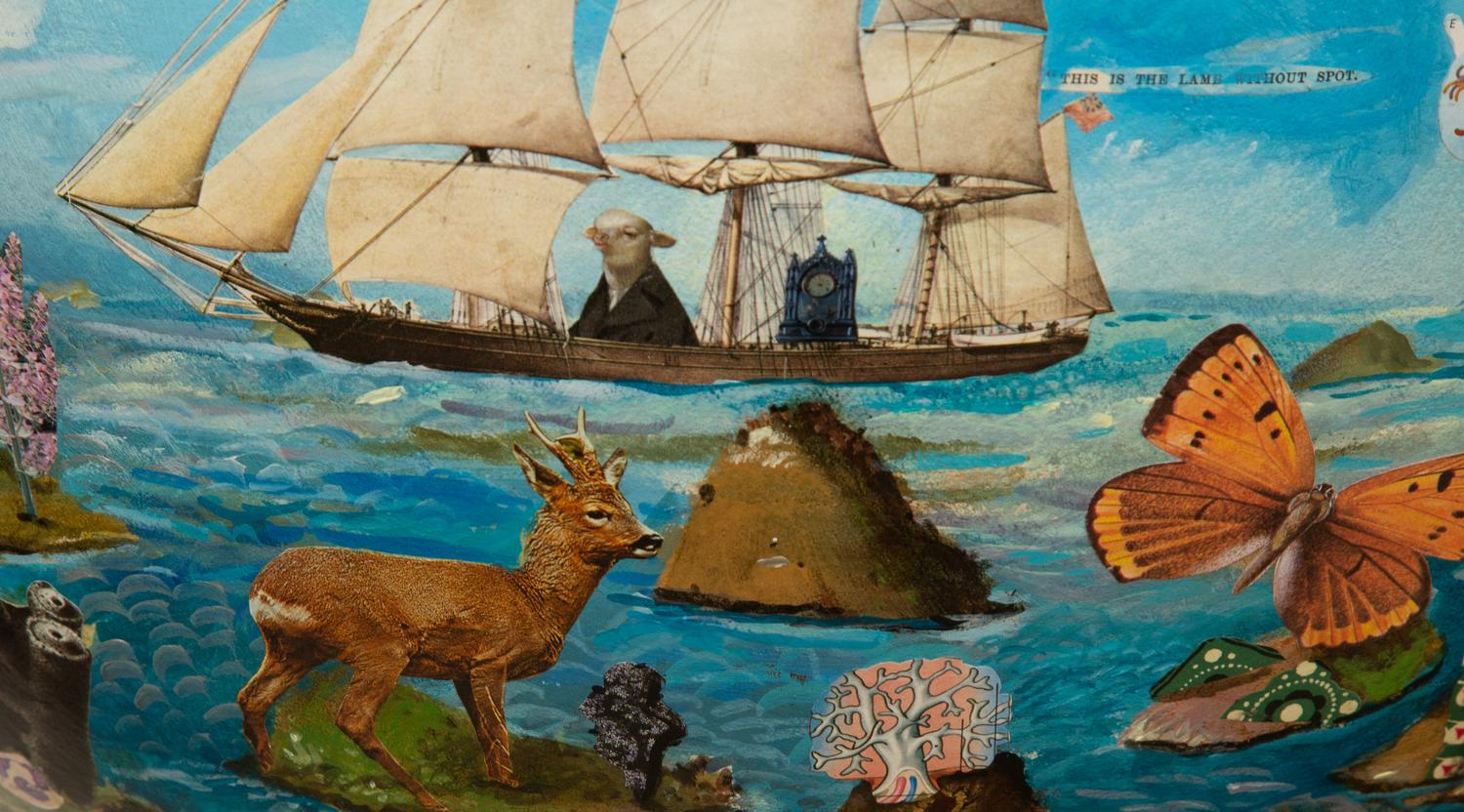 The Lamb Without Spots