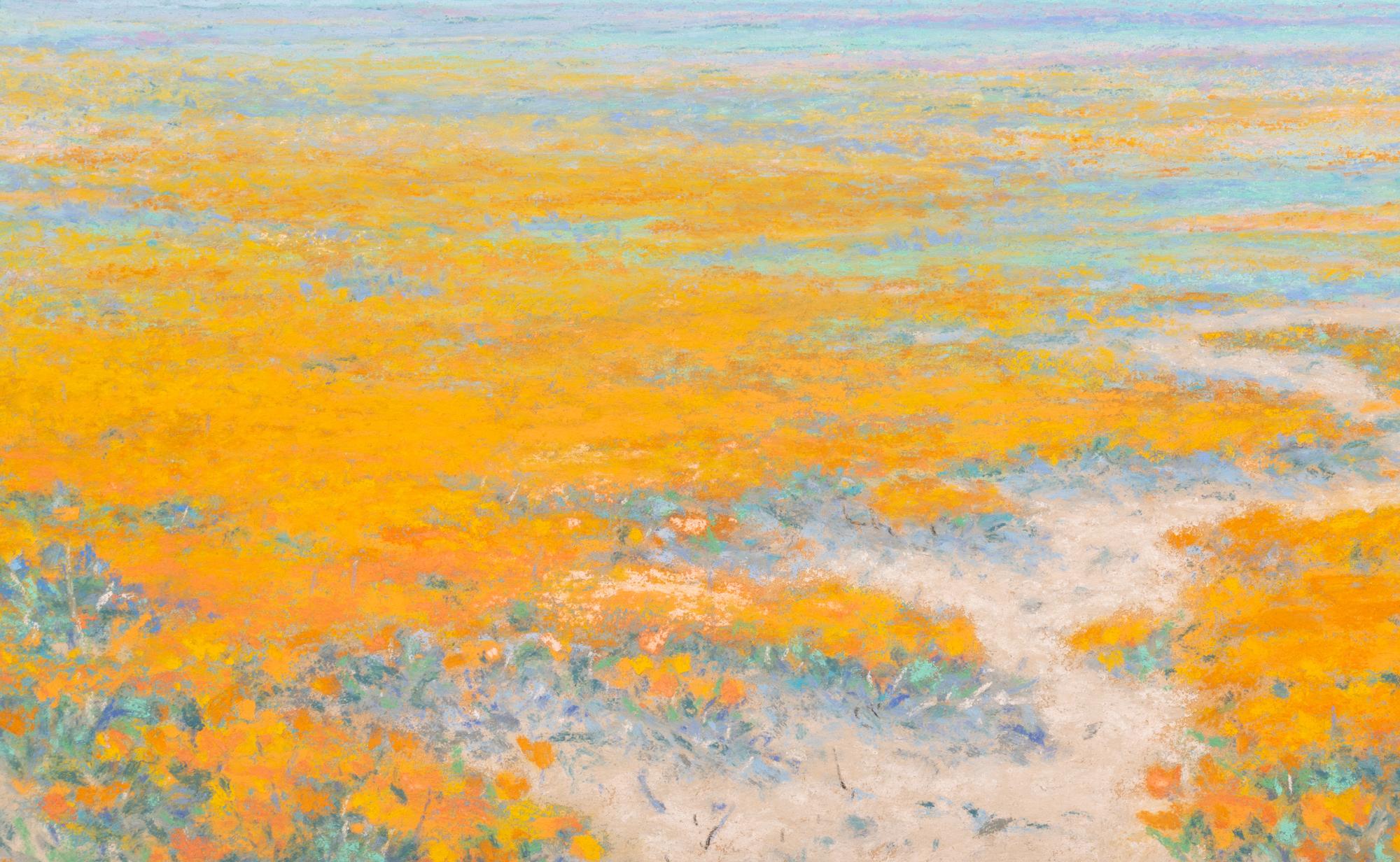Spring on the Desert, Antelope Valley, California