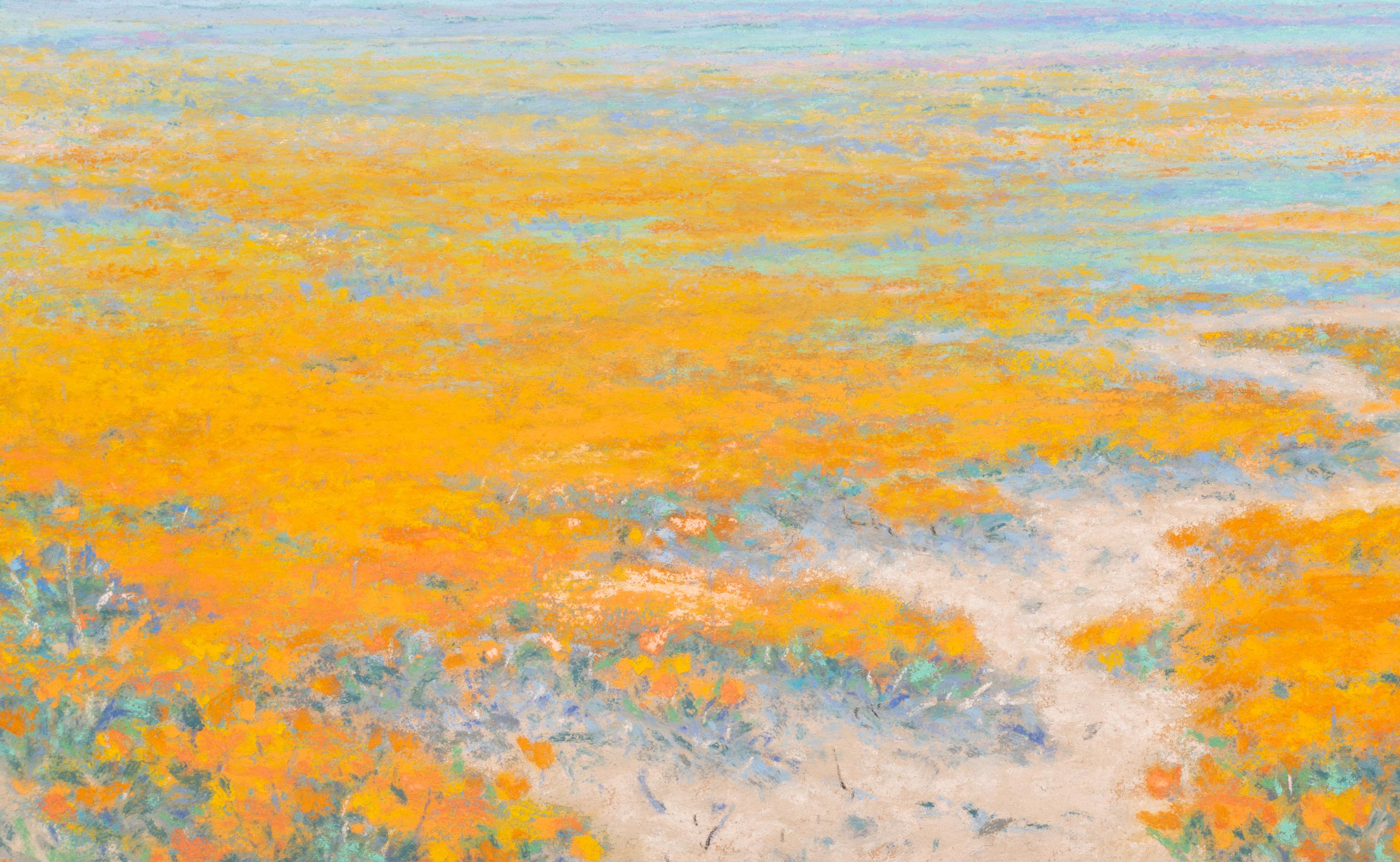 Spring on the Desert, Antelope Valley, California