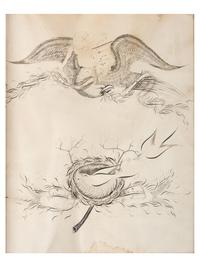 A Calligraphy Penmanship Picture with an Eagle and a Dove