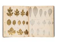 [SPECIMEN ALBUM - ARTIFICIAL LEAVES AND FLOWERS]. Collection of artificial leaves and flowers. [France, ca 1880?].