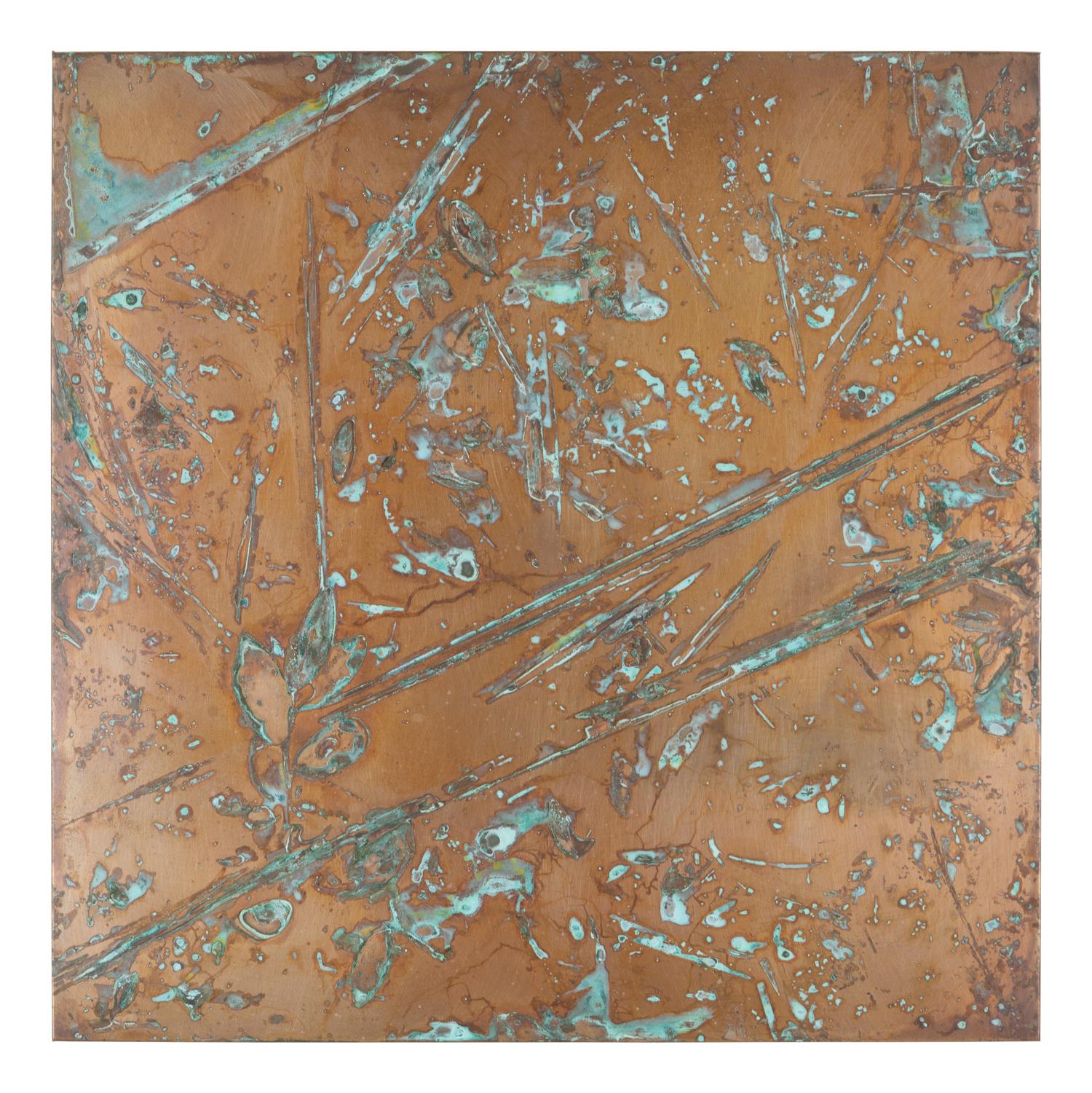 From Forest Mapping Series