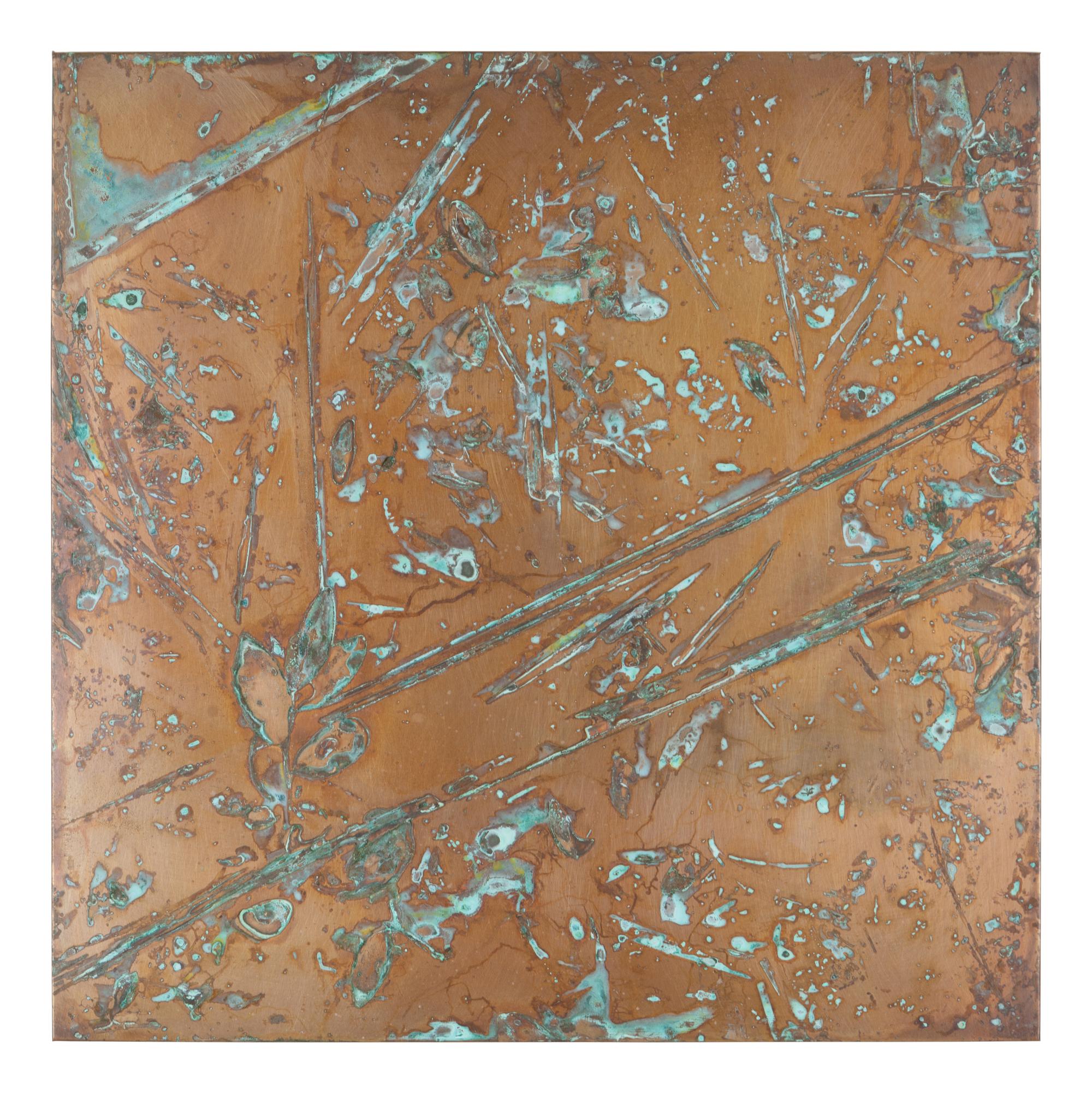 From Forest Mapping Series