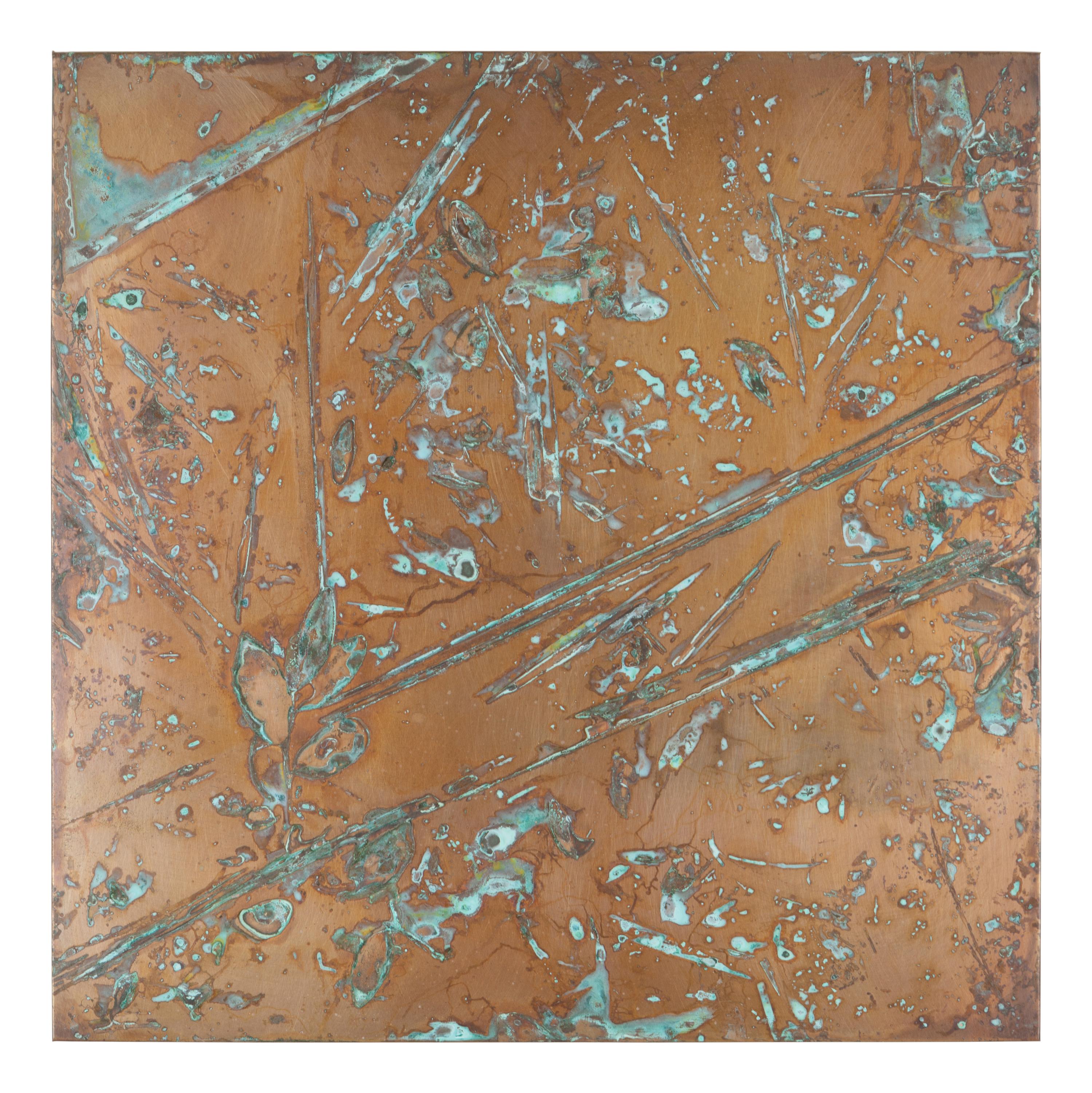 From Forest Mapping Series