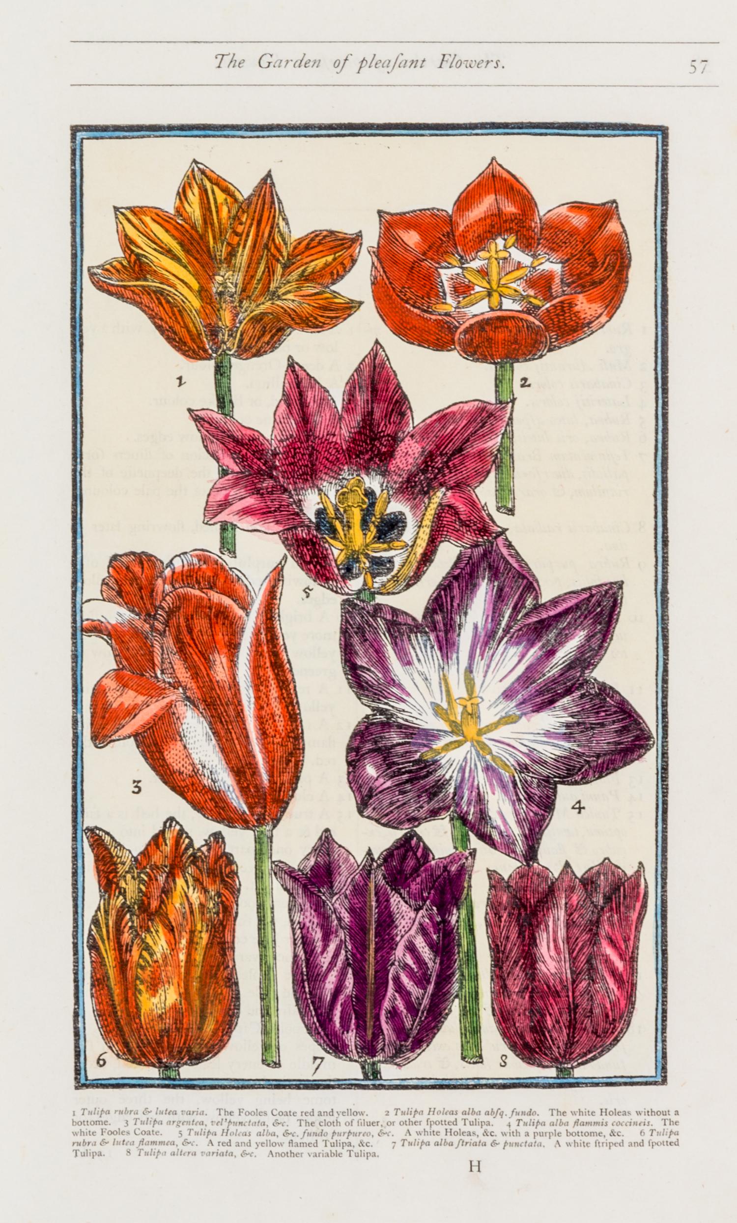 PARKINSON, JOHN. Group of eight handcolored facsimile etchings. (1910).