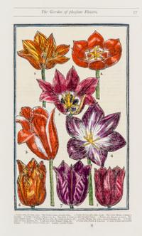 PARKINSON, JOHN. Group of eight handcolored facsimile etchings. (1910).