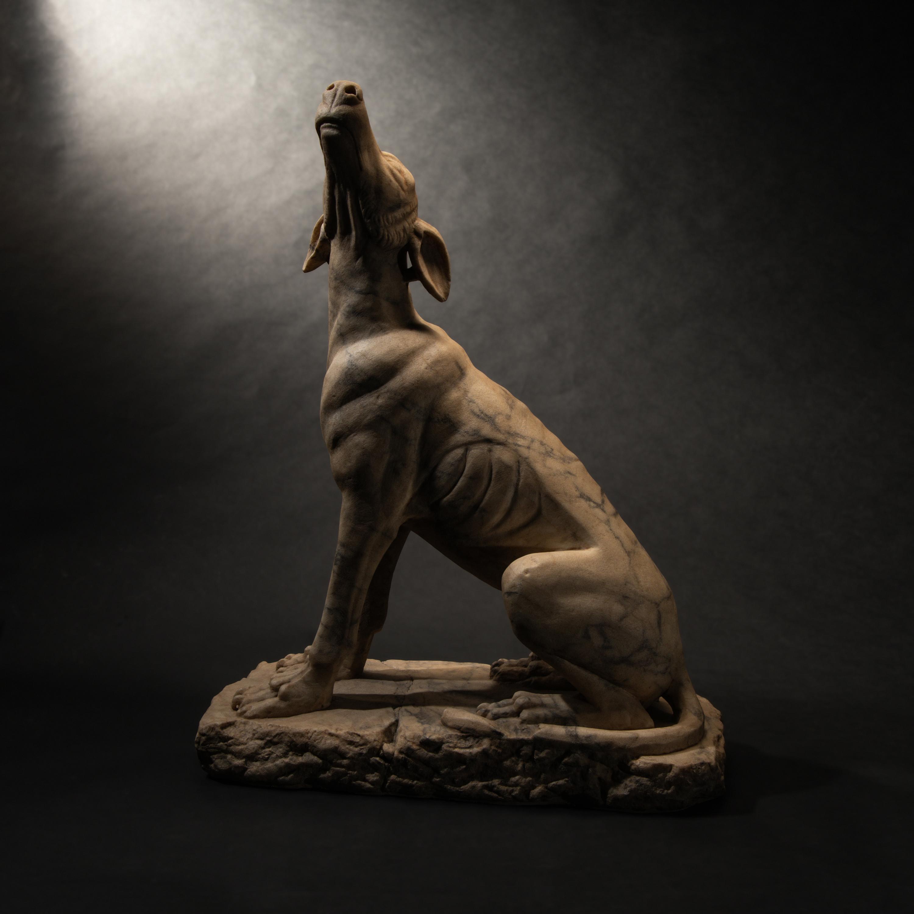 A Roman Pavonazzetto Marble Laconian Hound