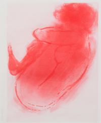Claude Garache, (French, b. 1930) , Avocette Rouge, 1989, together with another example (two works)