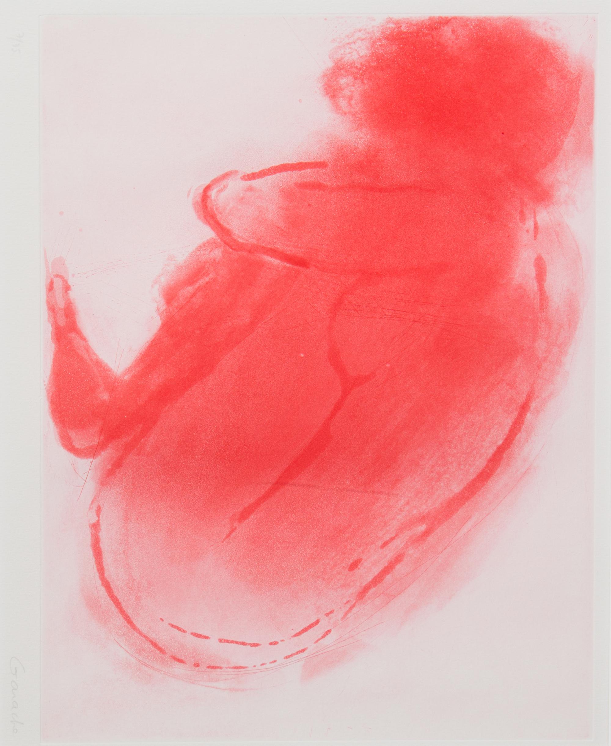 Claude Garache, (French, b. 1930) , Avocette Rouge, 1989, together with another example (two works)