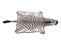 A Taxidermy Zebra Rug