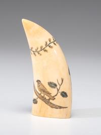 A Scrimshaw Sperm Whale's Tooth