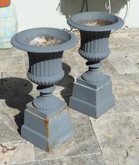 A Pair of Cast Iron Campana-form Jardinieres on Pedestals