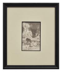 Stream Bed with Rocks