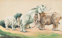 A Collection of Twelve Chinese Zoological Ink and Color Pith Paintings