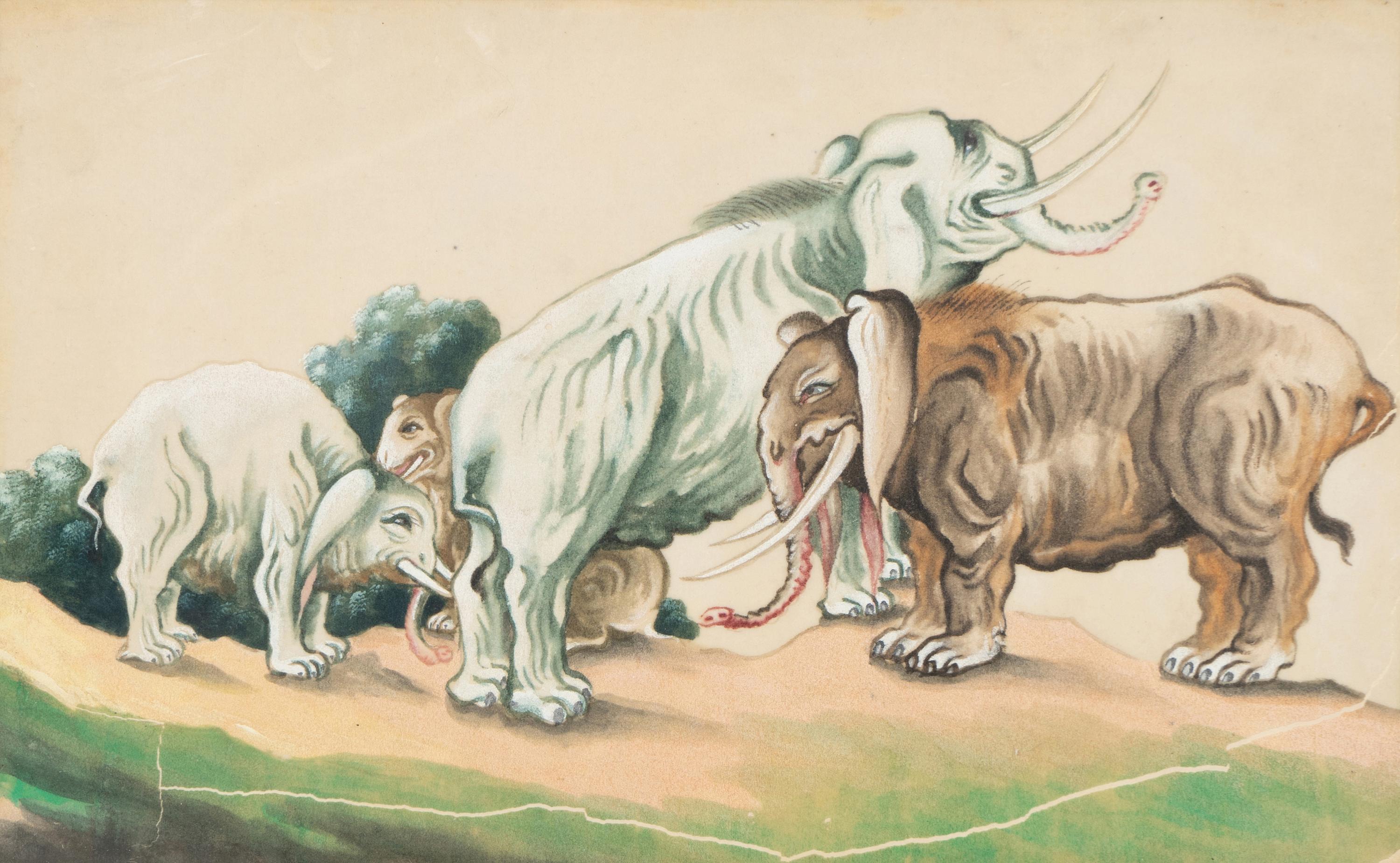A Collection of Twelve Chinese Zoological Ink and Color Pith Paintings