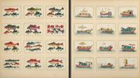 A Rare Album of 635 Chinese Export Miniature Pith Paintings, Second Half 19th Century 清晚期 外銷中國風情通草畫冊（通草畫共計635幅）