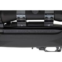 * Ruger 10/22 with Heavy Barrel and Scope