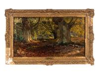Burnham Beeches