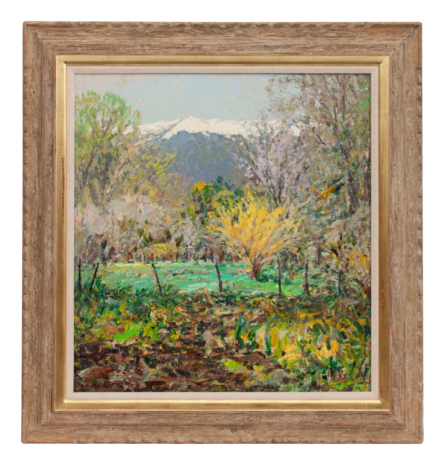 Forsythia at Velarde