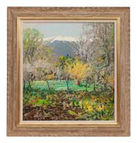 Forsythia at Velarde