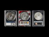 A Large Collection of One Hundred and Twenty-Five PCGS Graded MS70 and SP70 Silver Eagle $1 Coins