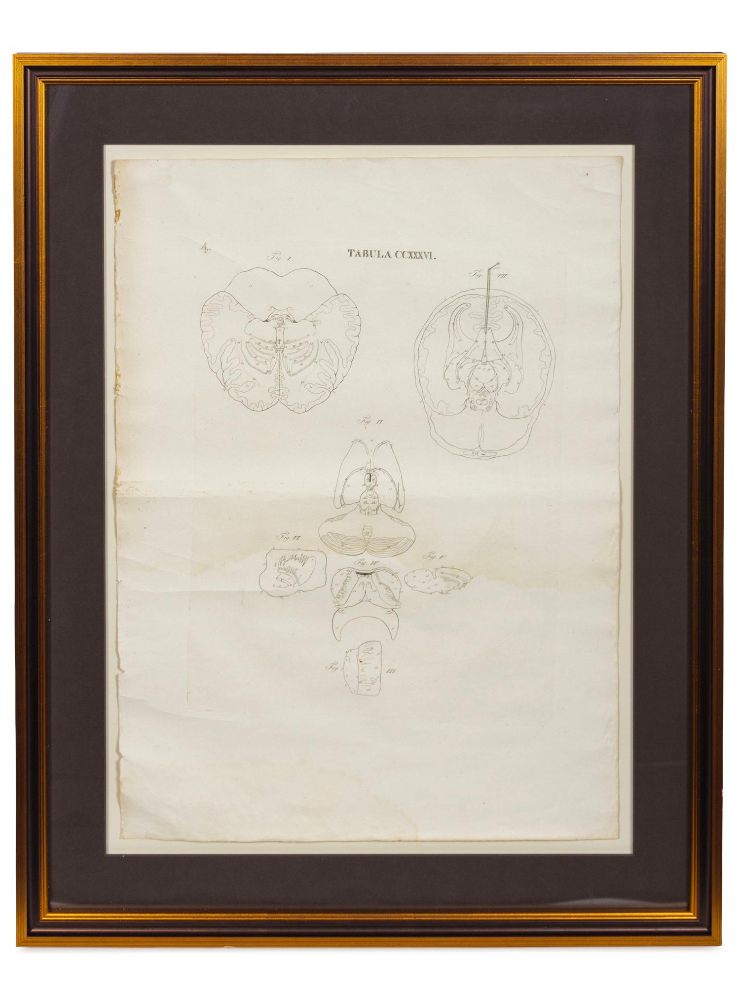 A Pair of Engravings from Recueil Des Planches Sur les Sciences