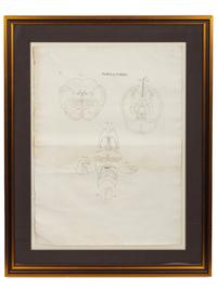 A Pair of Engravings from Recueil Des Planches Sur les Sciences