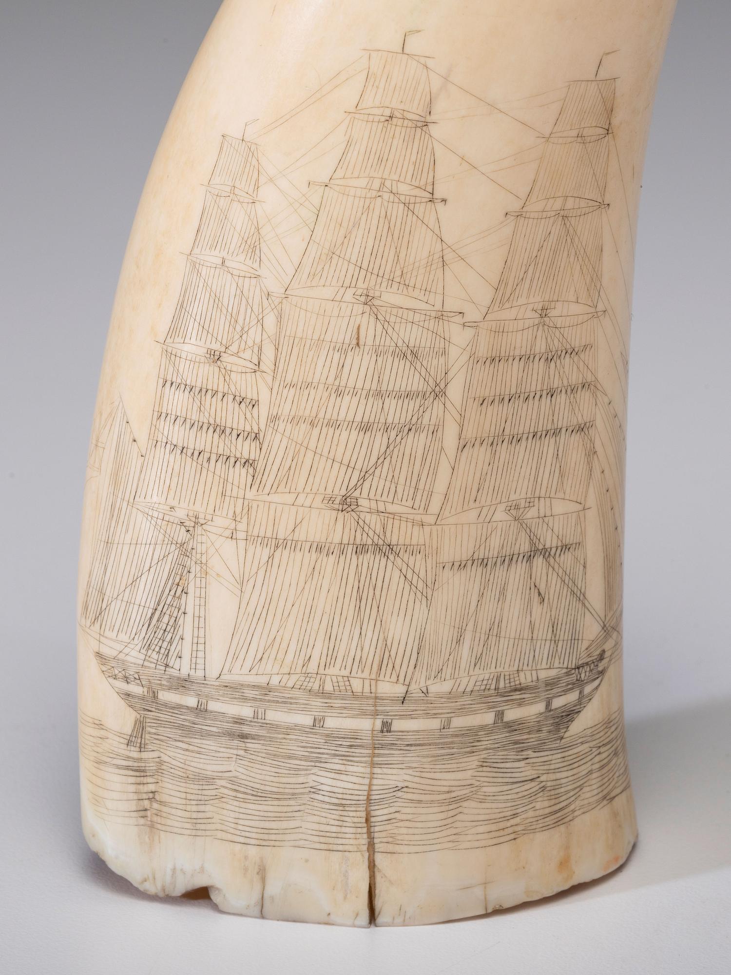 A Pair of Scrimshaw Sperm Whale's Teeth
