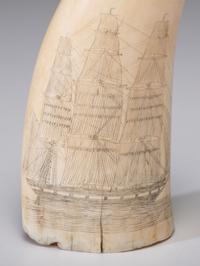 A Pair of Scrimshaw Sperm Whale's Teeth