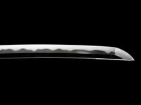 A Wakizashi