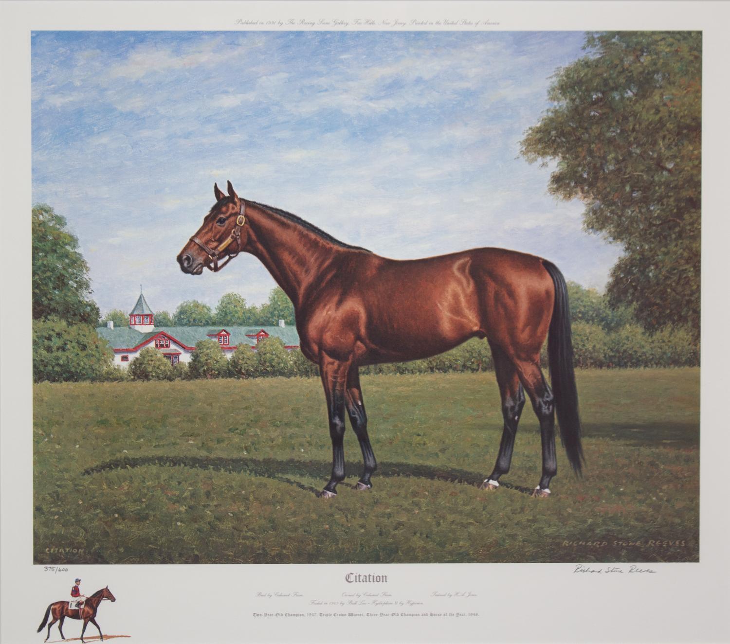 Nineteen Equestrian Prints