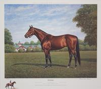 Nineteen Equestrian Prints