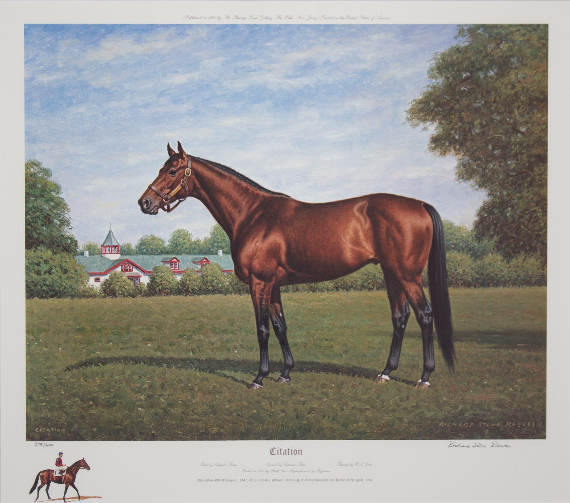 Nineteen Equestrian Prints