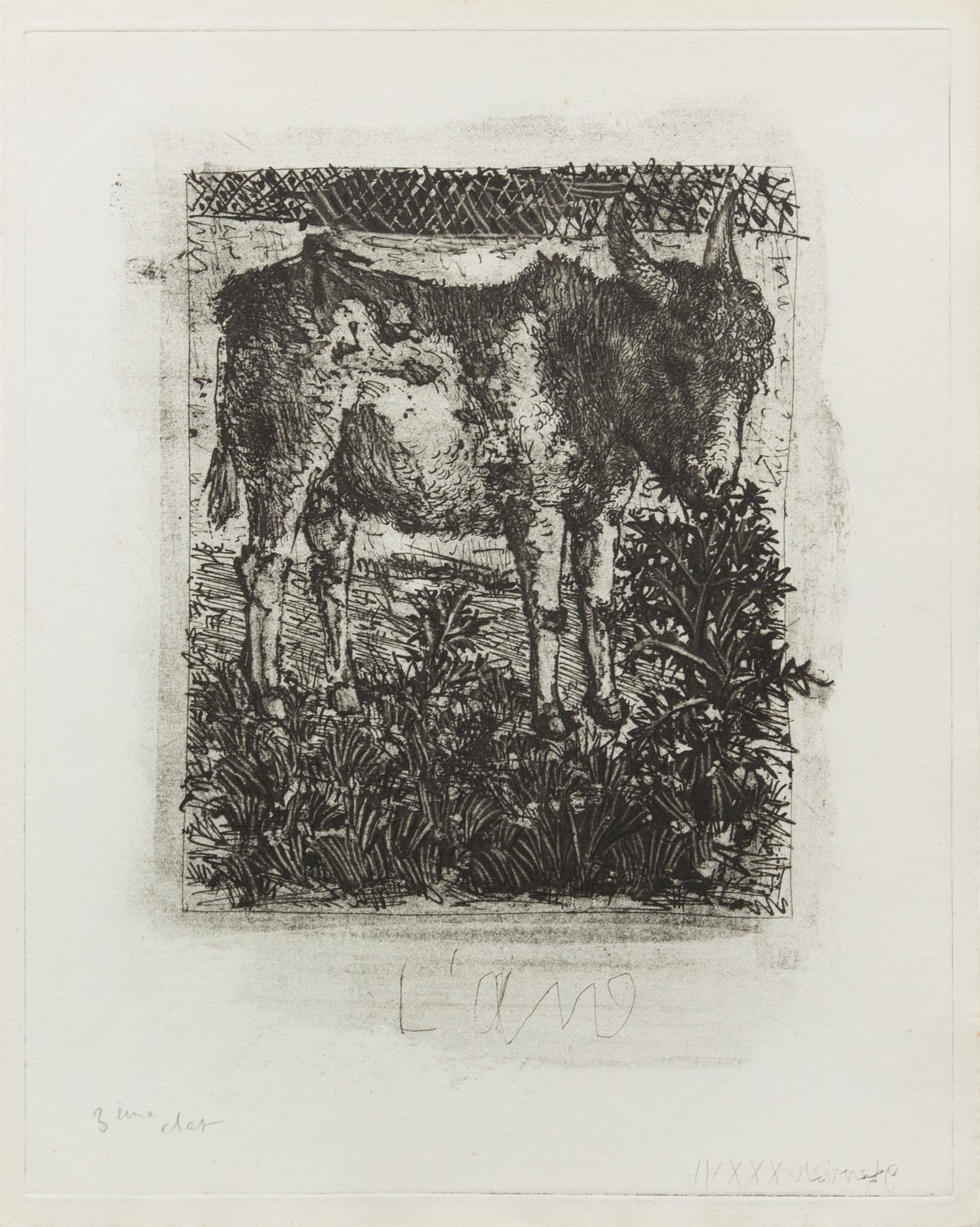 Pablo Picasso, (Spansih, 1881-1973), L'ane (from Buffon's l'Histoire Naturelle), 1942 (a collection of 4 works comprising of states I,