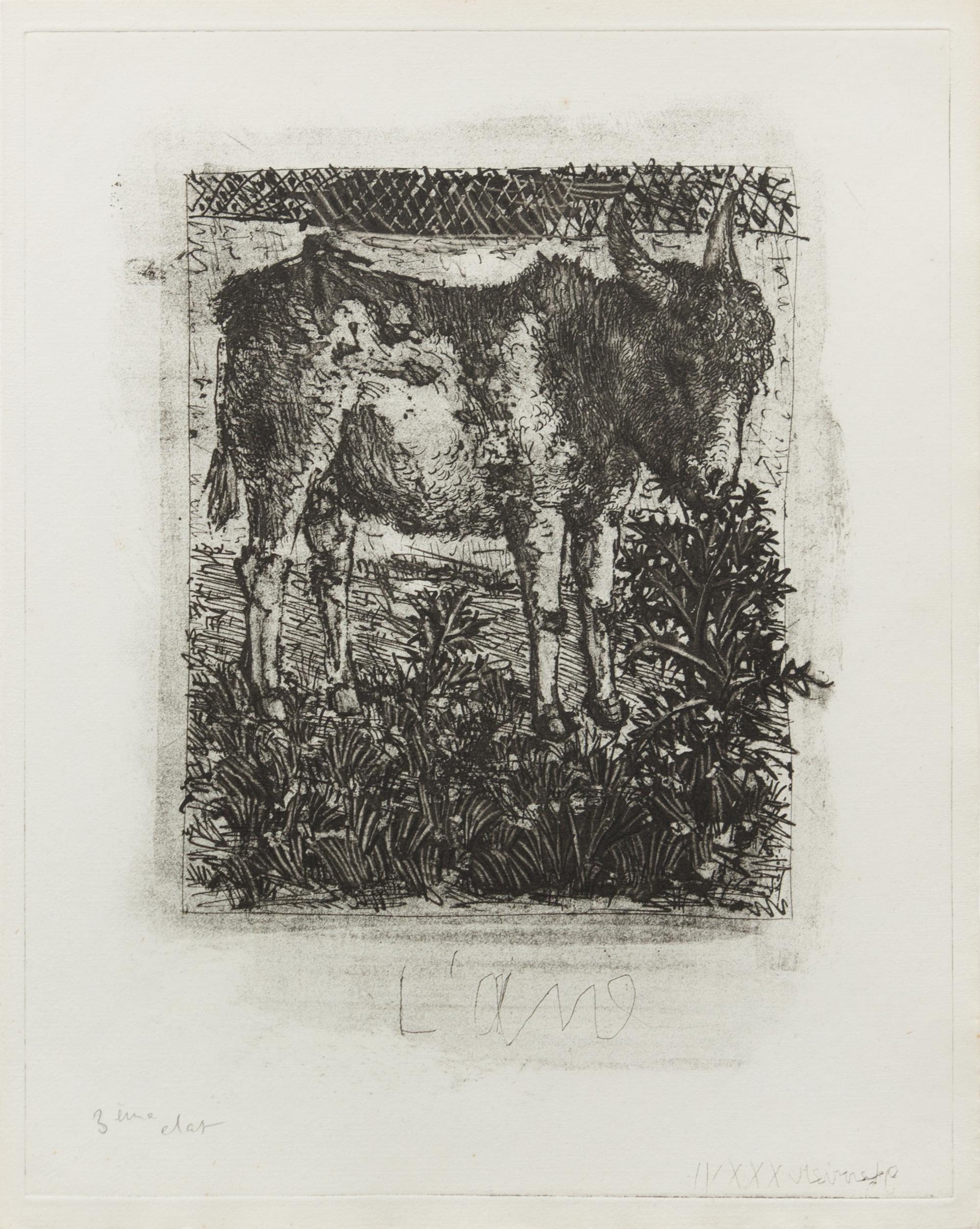 Pablo Picasso, (Spansih, 1881-1973), L'ane (from Buffon's l'Histoire Naturelle), 1942 (a collection of 4 works comprising of states I,