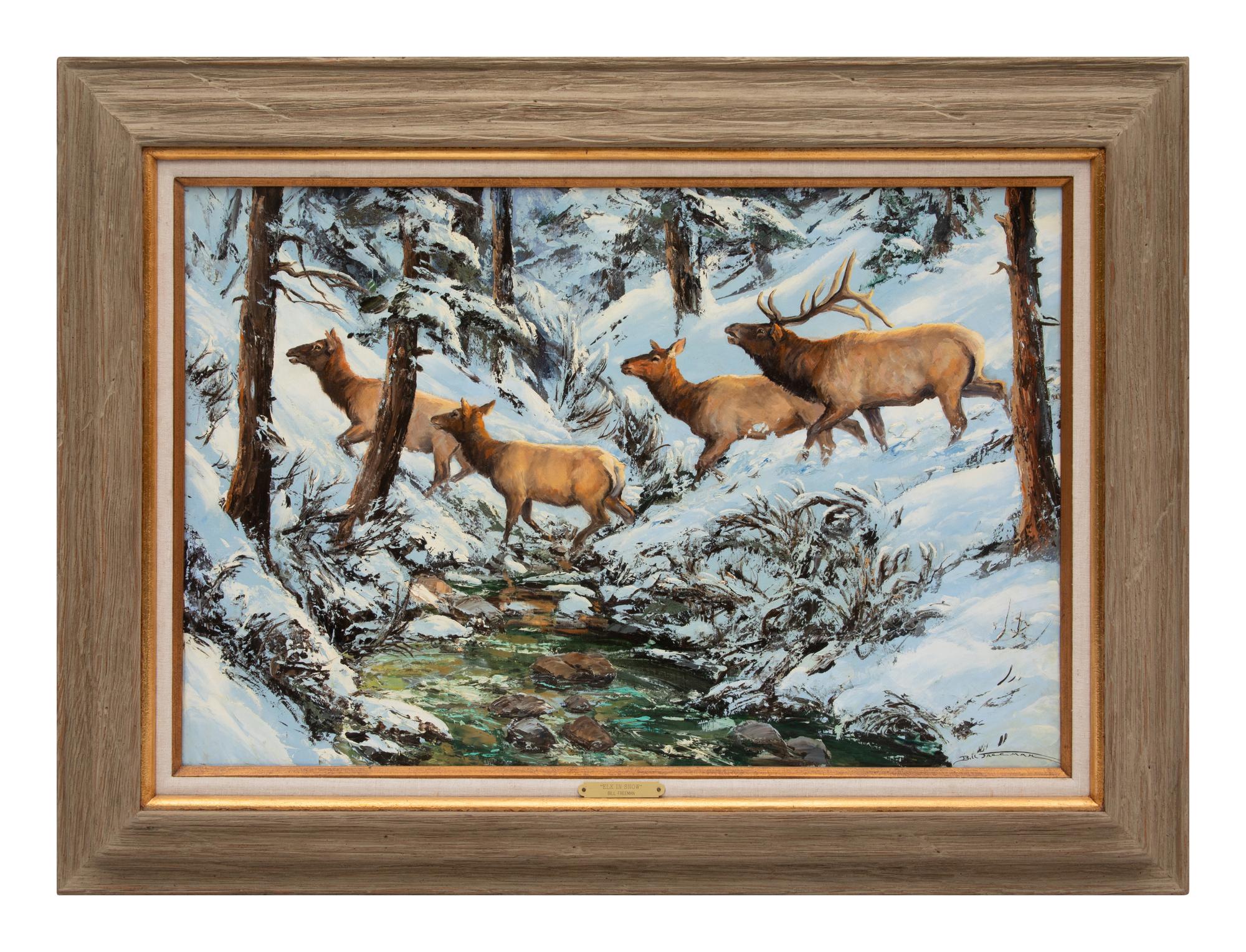 Elk In Snow