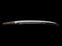 A Wakizashi