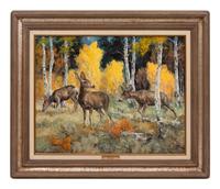 Mule Deer In The Aspen