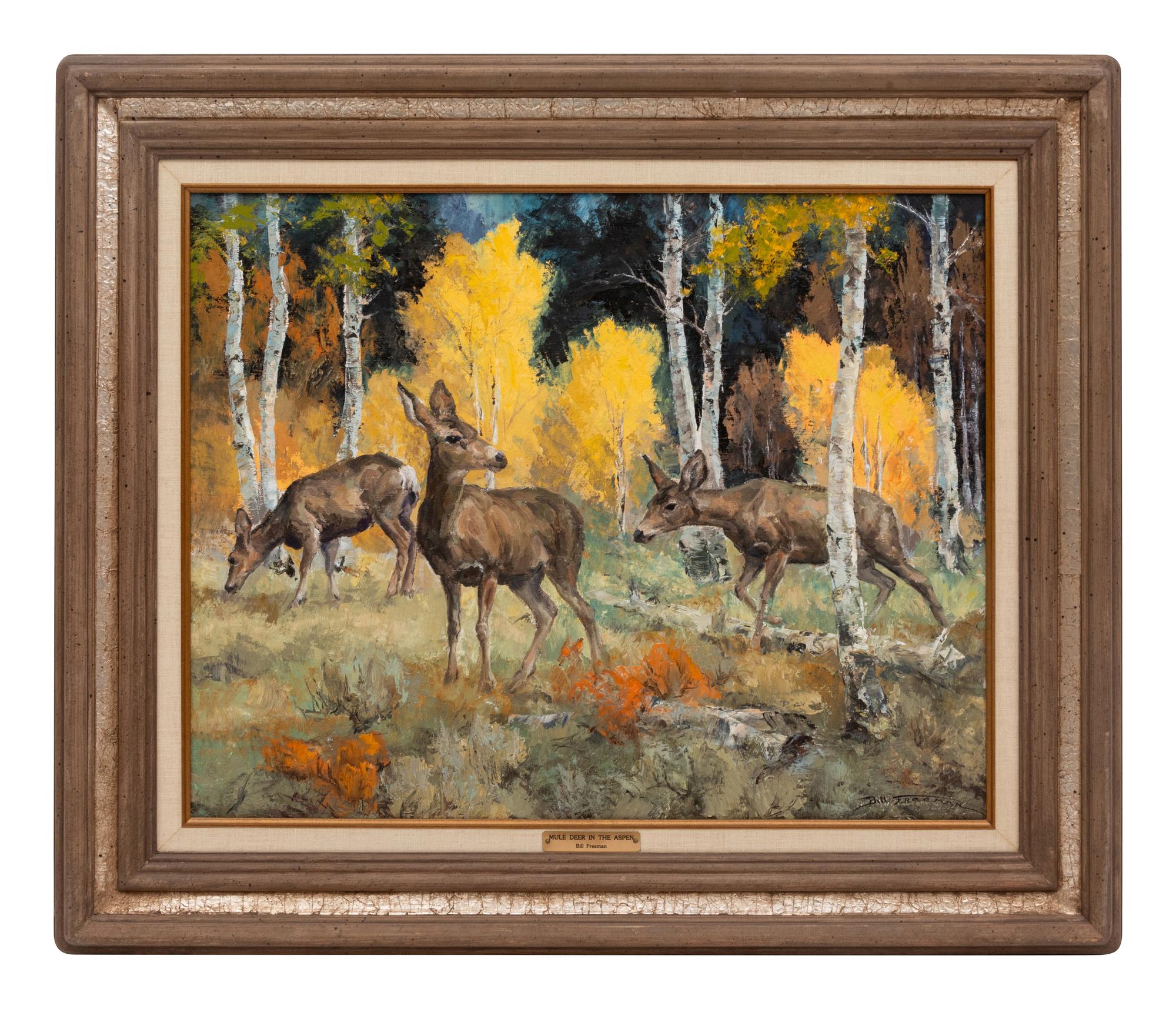 Mule Deer In The Aspen