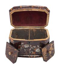A Georgian Tortoiseshell Tea Caddy