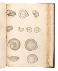[MANUSCRIPTS—CONCHOLOGY]. TERVER, Ange Paulin (1798-1875). 2 manuscript notebooks containing a profusion of fine and accurate drawings of mollusks. [Lyons, ca 1830-1840].