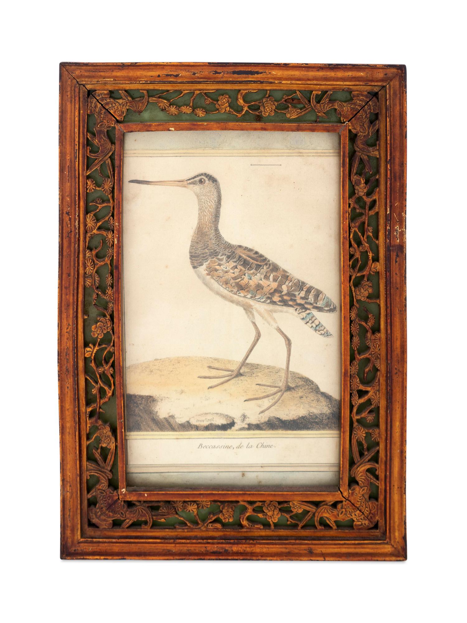 Twelve French Hand-Colored Bird Engravings — Designed and Engraved by Francois Nicolas Martinet (1731-1804); From Histoire Naturelle des Oiseaux by George-Louis Marie Leclere, Comte de Buffon; Printed at the Imprimerie Royale, 1770-1786