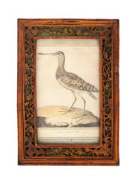 Twelve French Hand-Colored Bird Engravings — Designed and Engraved by Francois Nicolas Martinet (1731-1804); From Histoire Naturelle des Oiseaux by George-Louis Marie Leclere, Comte de Buffon; Printed at the Imprimerie Royale, 1770-1786