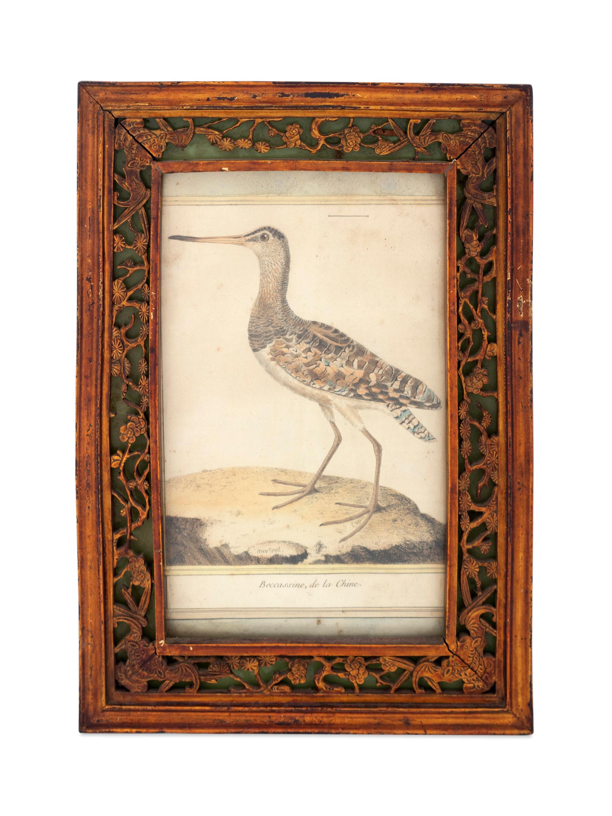 Twelve French Hand-Colored Bird Engravings — Designed and Engraved by Francois Nicolas Martinet (1731-1804); From Histoire Naturelle des Oiseaux by George-Louis Marie Leclere, Comte de Buffon; Printed at the Imprimerie Royale, 1770-1786