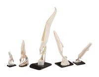 Carved Walrus Ivory Sculptures
