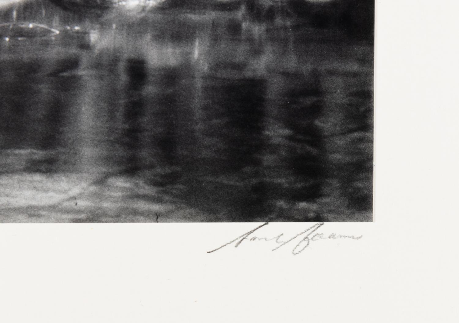 Ansel Adams (1902-1984) Lodgepole Pines, Lyell Fork of the Merced River, Yosemite National Park, California, 1921