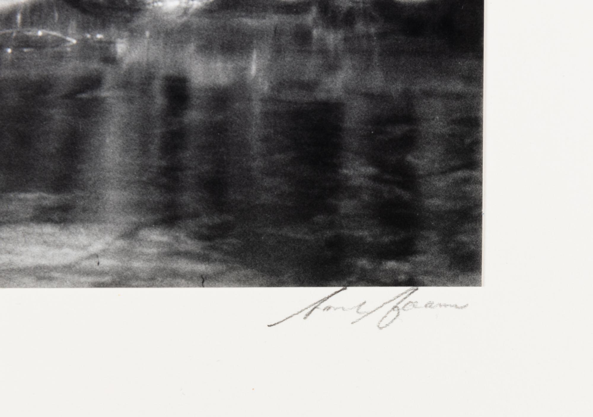 Ansel Adams (1902-1984) Lodgepole Pines, Lyell Fork of the Merced River, Yosemite National Park, California, 1921