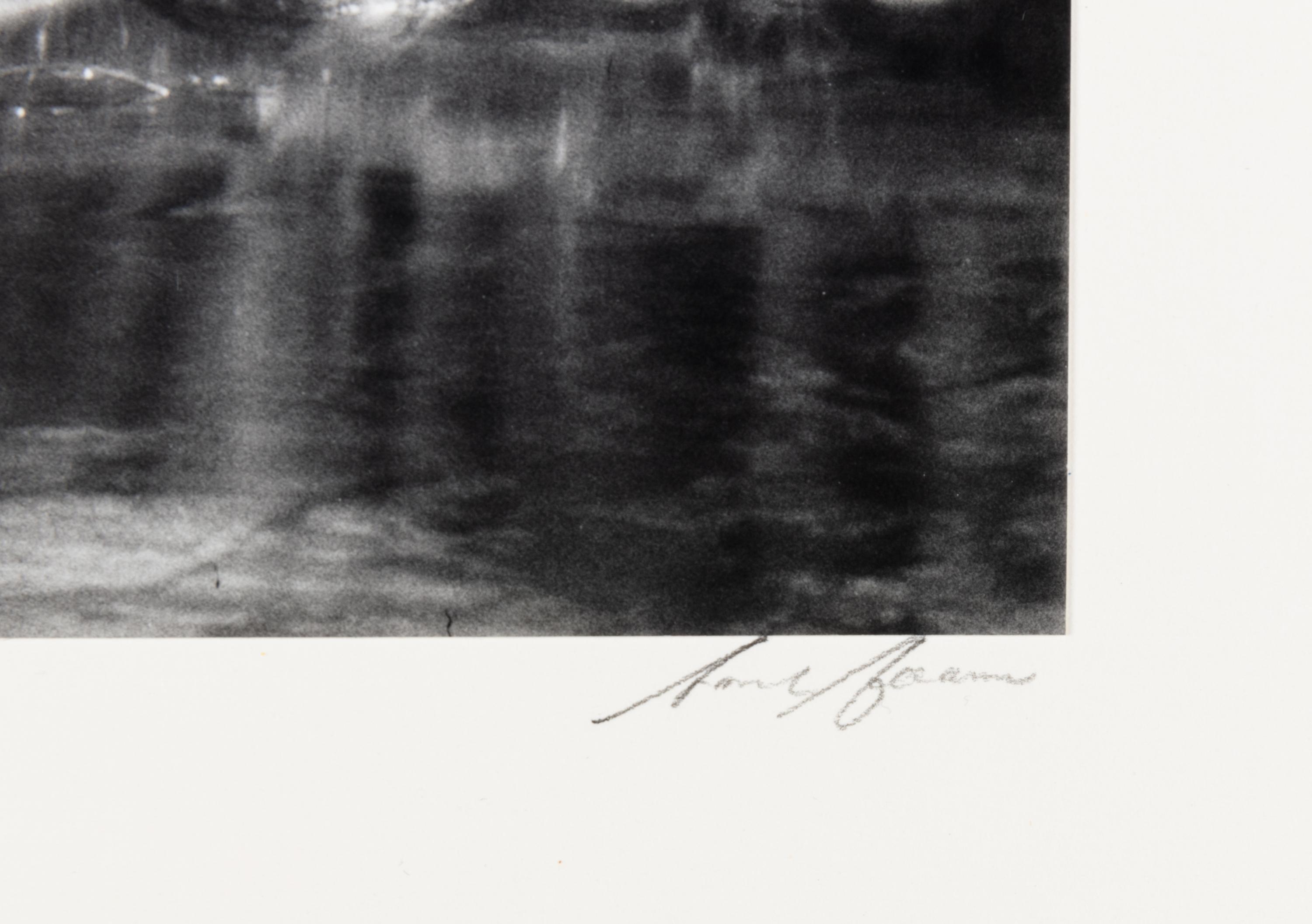 Ansel Adams (1902-1984) Lodgepole Pines, Lyell Fork of the Merced River, Yosemite National Park, California, 1921