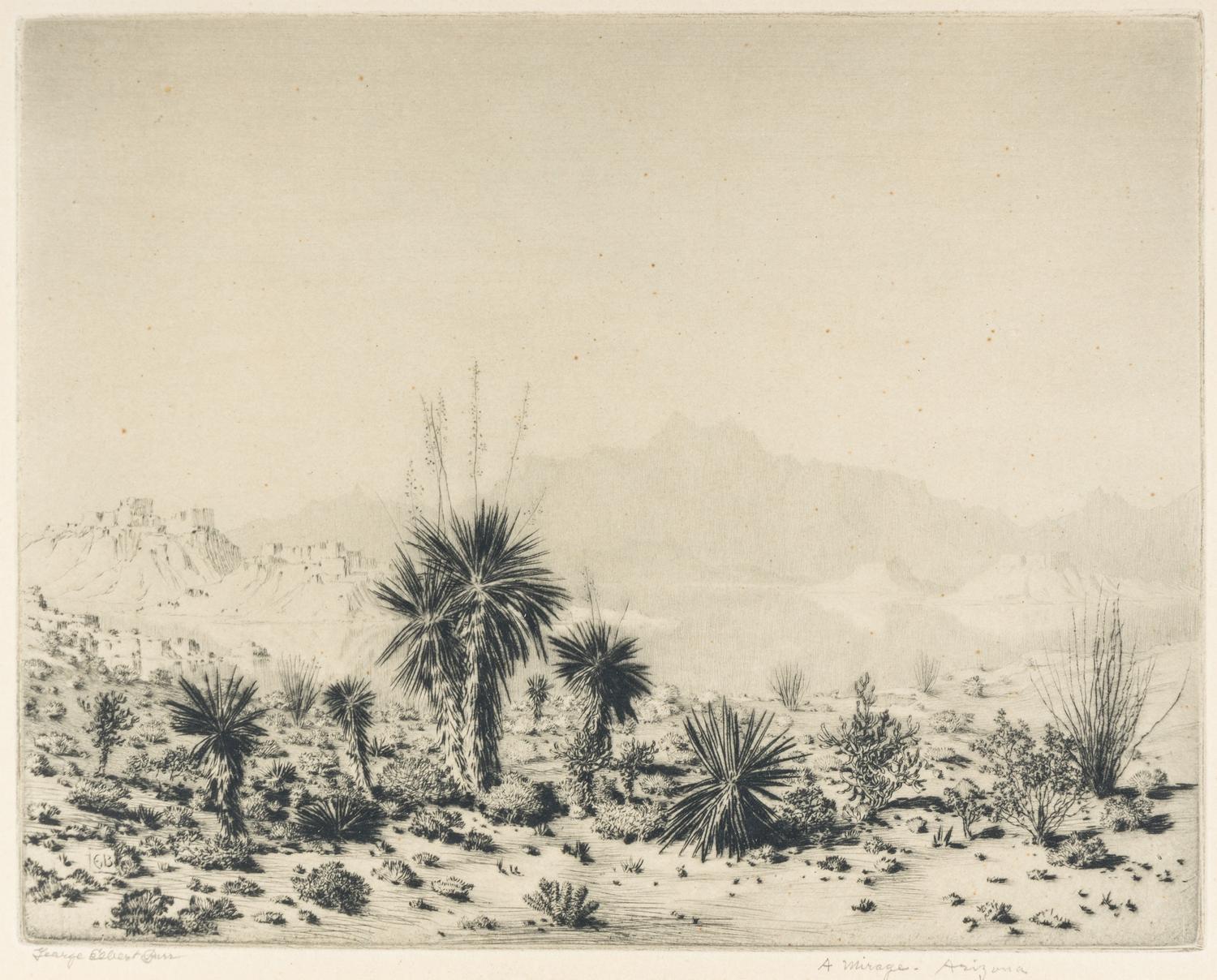 A Mirage – Arizona